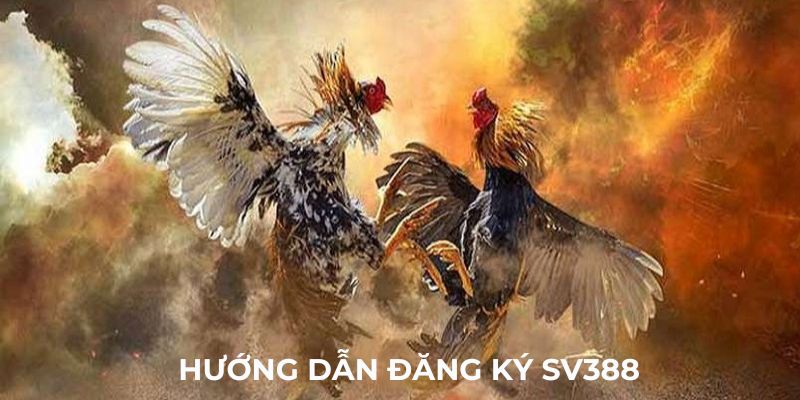 Hướng dẫn quy trình đăng ký tài SV388