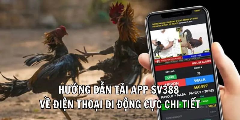 Quy trình tải app SV388 chi tiết, đầy đủ dành cho hội viên mới