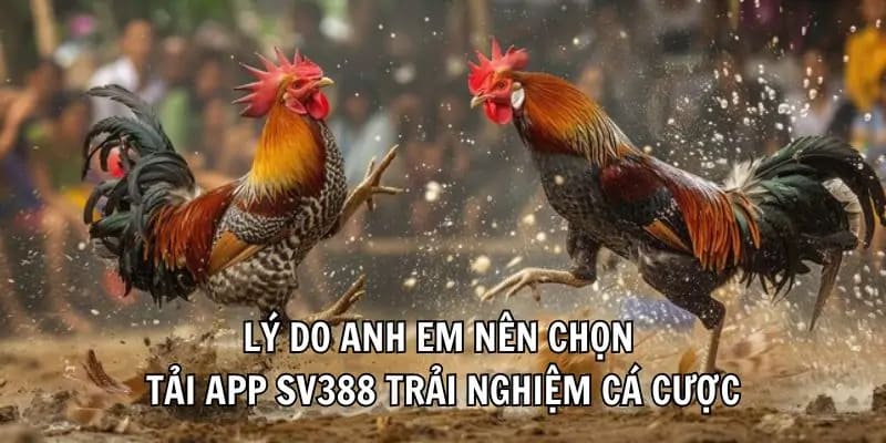 Những lý do bạn nên tải app SV388 để giải trí